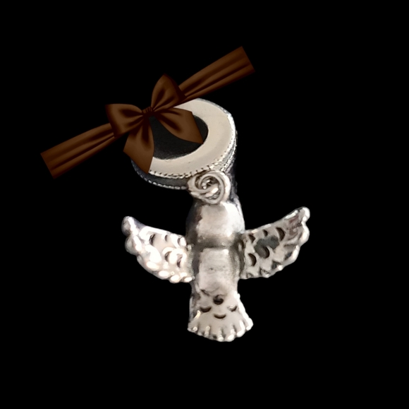 BOGO! Bundle to get the discount!! 925 Silver Hedwig Dangle Charm - Picture 2 of 4